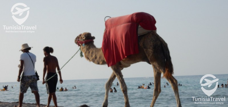 Tunisia – A safe travel country?