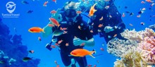 tahavoyages EGYPTE été 2018 Taha Voyages EGYPTE été 2018